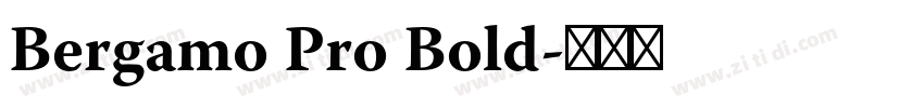 Bergamo Pro Bold字体转换